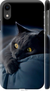 Чохол Димчастий кіт на iPhone XR