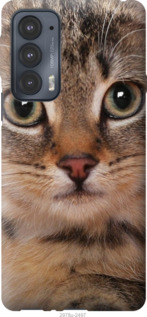 

Чехол Полосатый котик для Motorola Edge 20 1230045