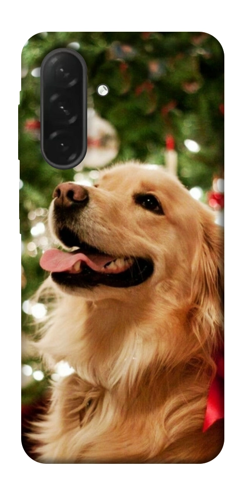 Чохол New year dog для Galaxy A26 5G