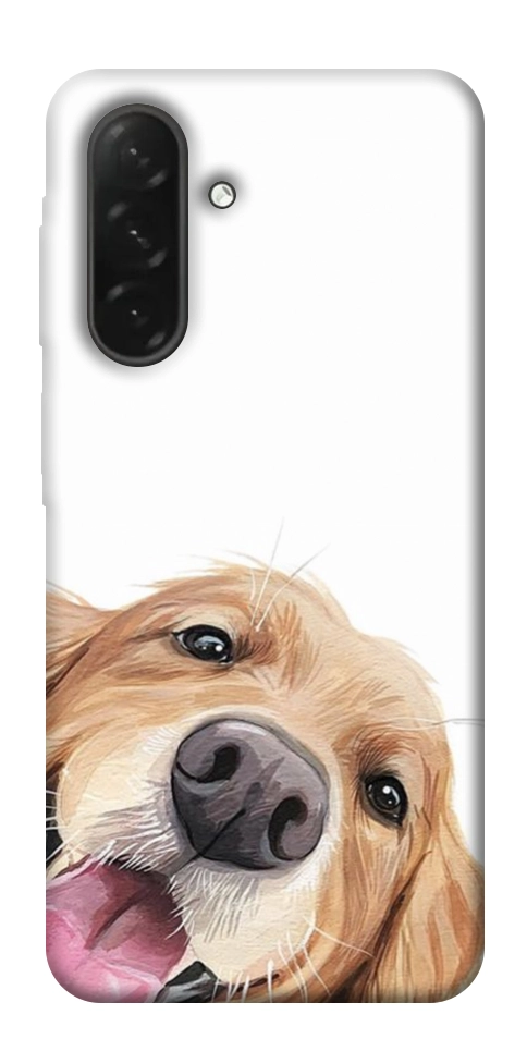 Чехол Funny dog для Galaxy A26 5G