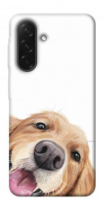 Чохол Funny dog для Galaxy A26 5G