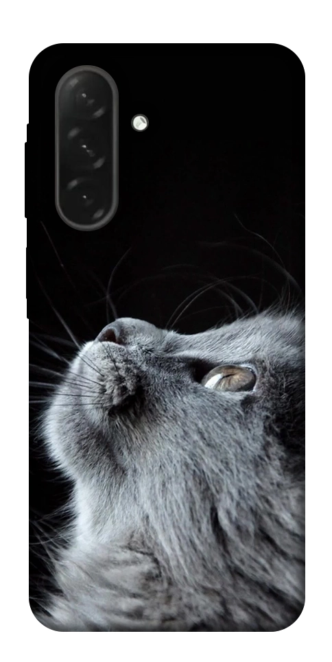 Чохол Cute cat для Galaxy A26 5G