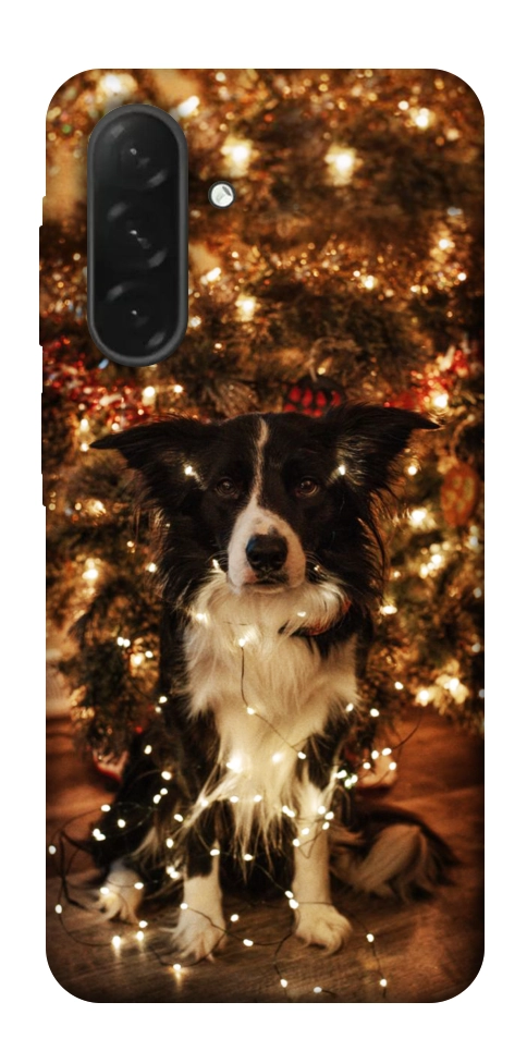 Чохол Christmas dog для Galaxy A26 5G