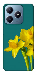 Чехол Golden Daffodil для Realme C63 4G