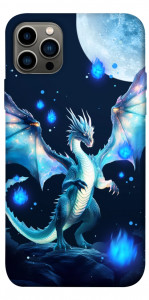 Чехол Ghost dragon для iPhone 12 Pro