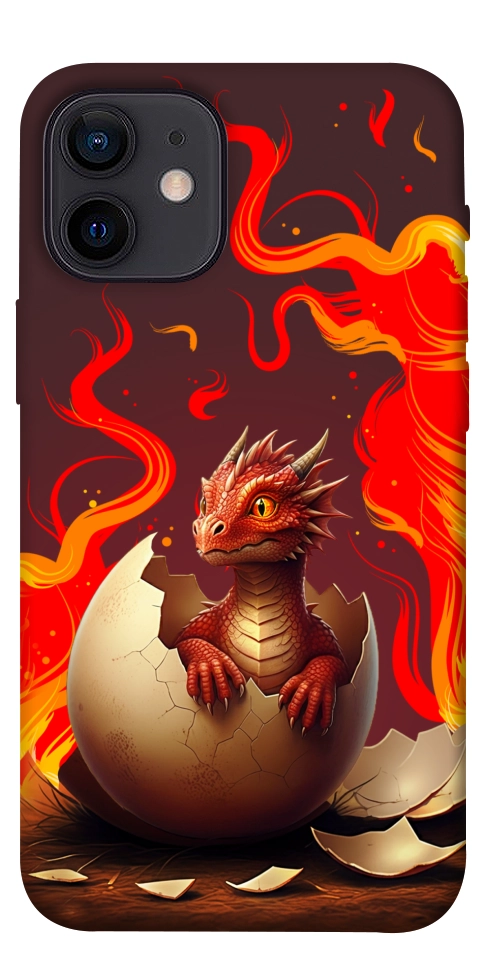 Чехол Fire dragon для iPhone 12 mini