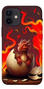 Чехол Fire dragon для iPhone 12 mini