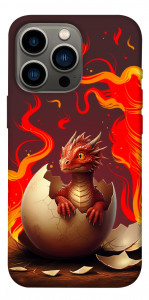 Чехол Fire dragon для iPhone 13 Pro