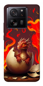 Чохол Fire dragon для Xiaomi 13T