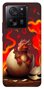 Чехол Fire dragon для Xiaomi 13T Pro