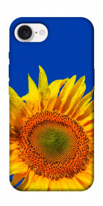 Чехол Sunflower для iPhone 16e