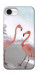 Чохол Flamingos для iPhone 16e