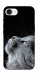 Чехол Cute cat для iPhone 16e