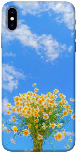 Чехол Sky flowers для iPhone X