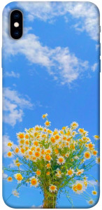 Чохол Sky flowers для iPhone XS Max