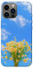 Чехол Sky flowers для iPhone 12 Pro Max