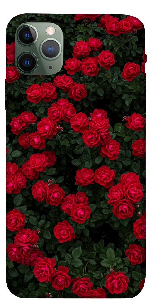 Чохол Eternal roses для iPhone 11 Pro Max