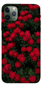 Чехол Eternal roses для iPhone 11 Pro Max