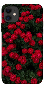 Чохол Eternal roses для iPhone 11