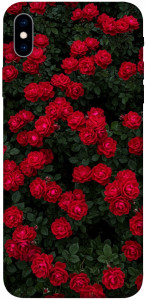 Чохол Eternal roses для iPhone XS Max