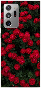 Чохол Eternal roses для Galaxy Note 20 Ultra