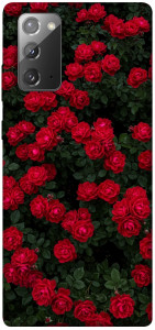 Чохол Eternal roses для Galaxy Note 20