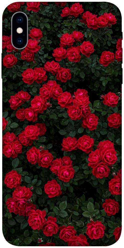 Чохол Eternal roses для iPhone XS