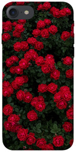 Чехол Eternal roses для iPhone 8 (4.7")