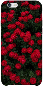 Чехол Eternal roses для iPhone 6 plus (5.5'')