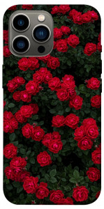 Чехол Eternal roses для iPhone 12 Pro Max