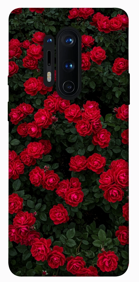 Чехол Eternal roses для OnePlus 8 Pro