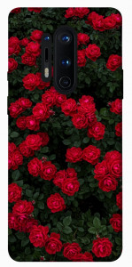 Чехол Eternal roses для OnePlus 8 Pro