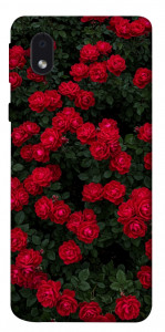 Чохол Eternal roses для Samsung Galaxy M01 Core