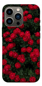 Чехол Eternal roses для iPhone 13 Pro