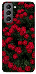 Чохол Eternal roses для Galaxy S21 FE