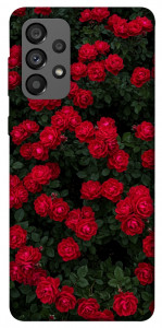 Чохол Eternal roses для Galaxy A73 5G