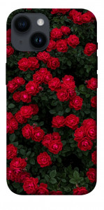 Чохол Eternal roses для iPhone 14