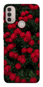 Чохол Eternal roses для Motorola Moto E40