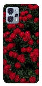 Чехол Eternal roses для Motorola Moto G23