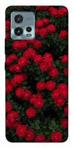 Чехол Eternal roses для Motorola Moto G72