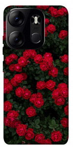 Чохол Eternal roses для Tecno Spark Go 2023