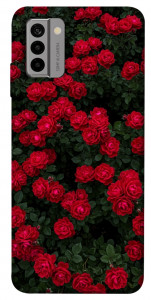 Чохол Eternal roses для Nokia G22