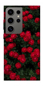 Чехол Eternal roses для Galaxy S24 Ultra