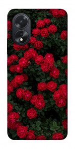 Чехол Eternal roses для Oppo A18