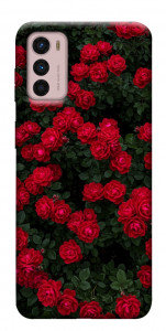 Чохол Eternal roses для Motorola Moto G42