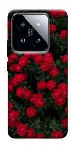 Чохол Eternal roses для Xiaomi 14 Pro