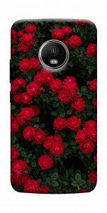 Чохол Eternal roses для Motorola Moto G5S