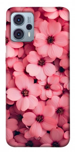 Чохол Pink flowers для Motorola Moto G23