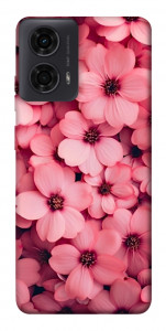 Чохол Pink flowers для Motorola Moto G24