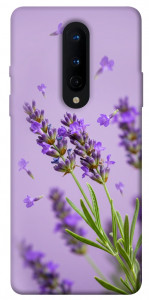 Чехол Lavender purple для OnePlus 8